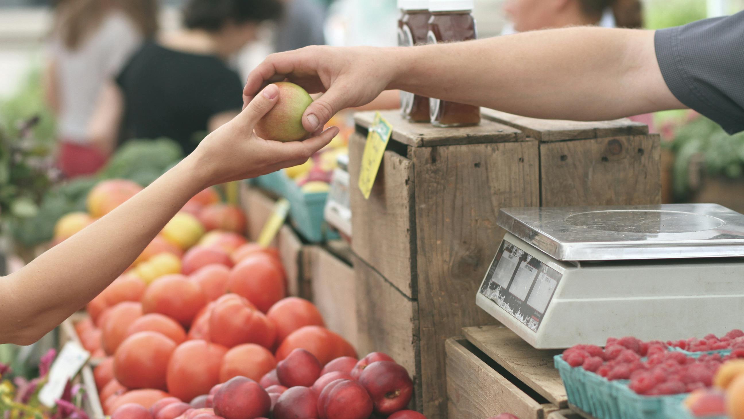10 Tips for Reducing Your Grocery Expenses