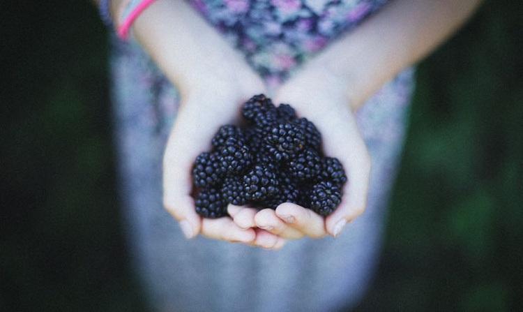 The Bible Is the Story of God’s Generosity: Will We Be Part of That Story?