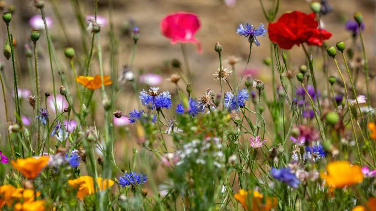 God's Investment and Ours: Towards a Theology of Investment