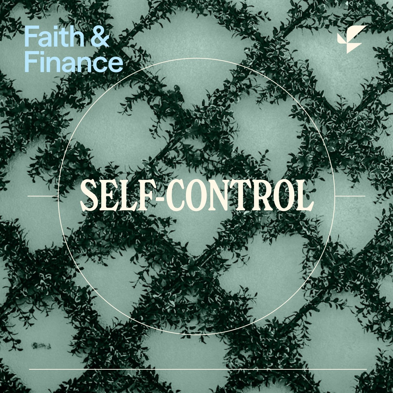 Financial Virtues Series: Temperance (Self-Control) with Pierce Taylor Hibbs