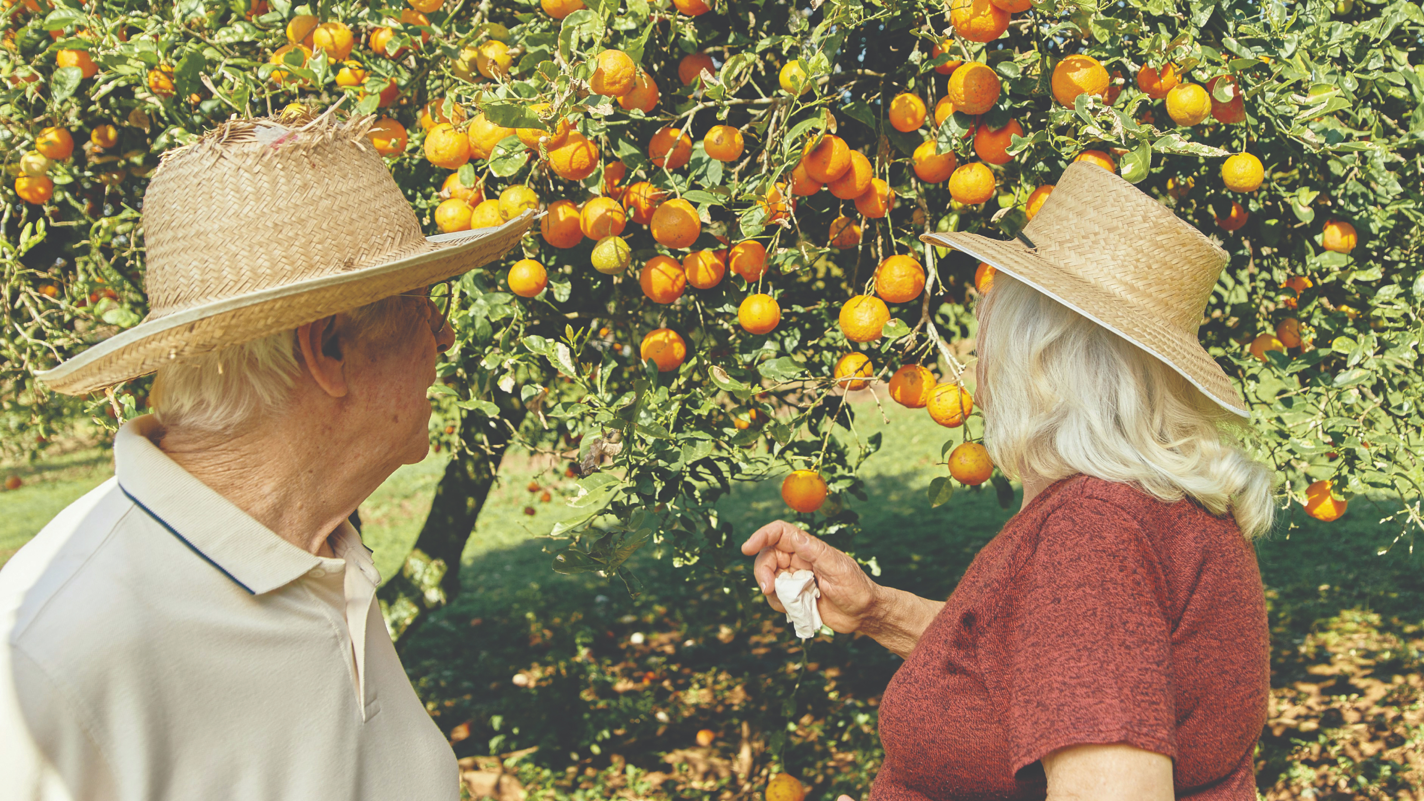 Tithing in Retirement: A Thoughtful Framework