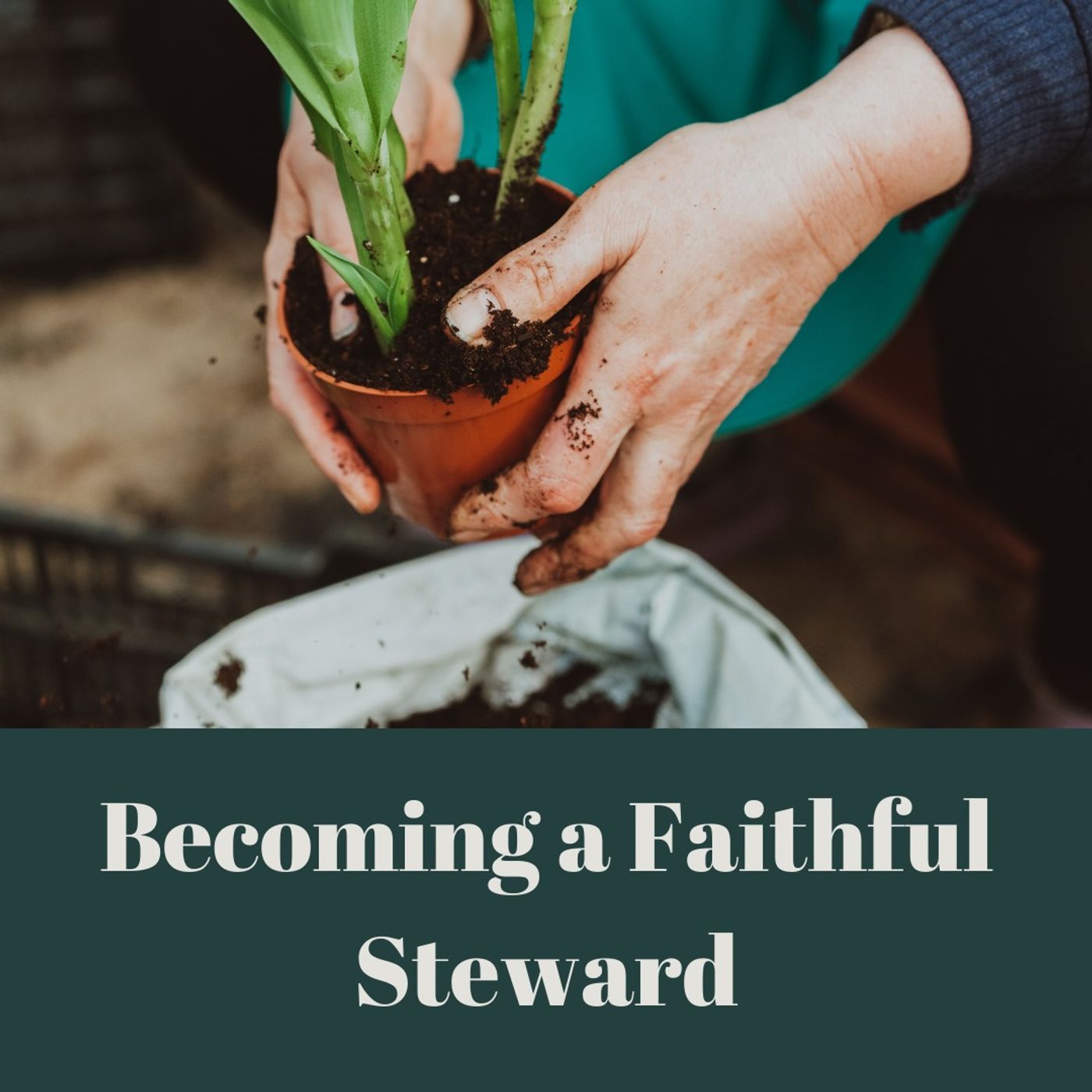 Becoming a Faithful Steward