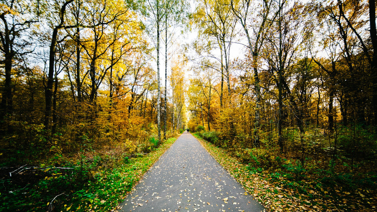 The Path to Finding Contentment