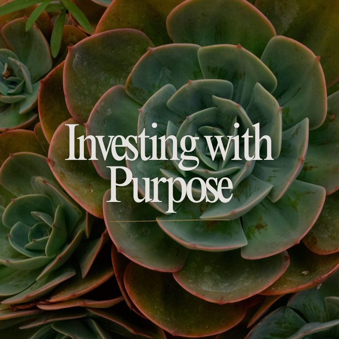 Investing with Purpose