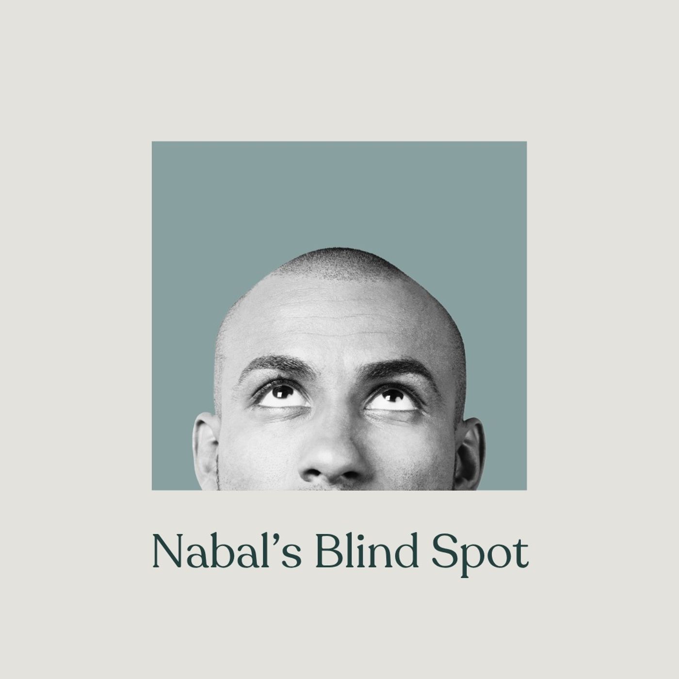 Nabal’s Blind Spot