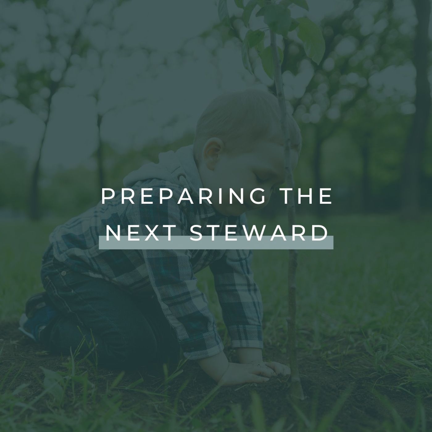 Preparing the Next Steward