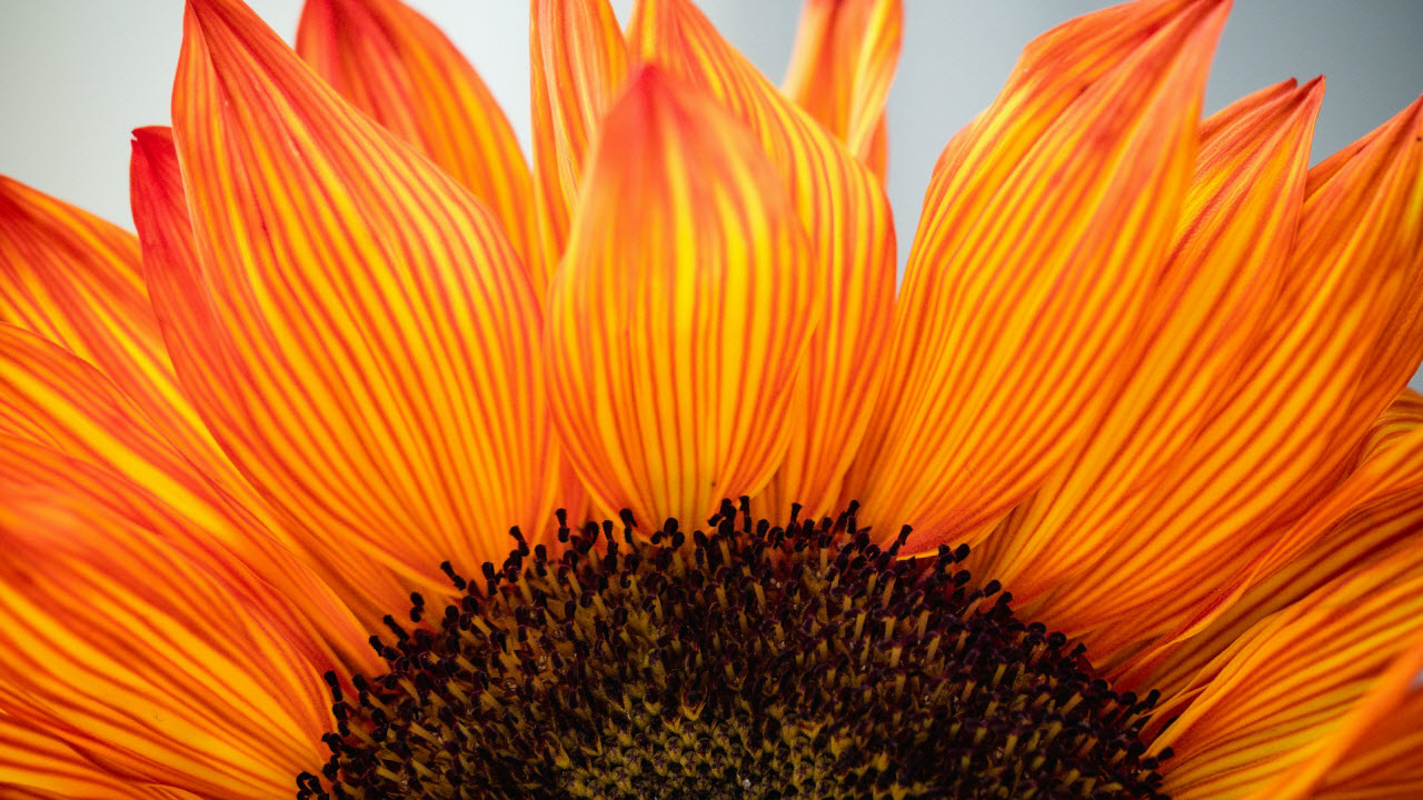 Embracing Gratitude: The Key to Generosity