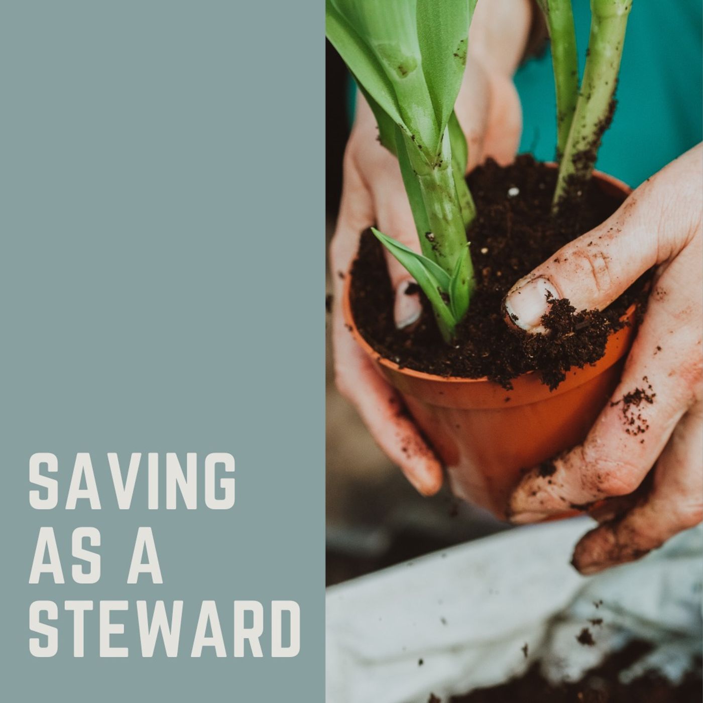 Saving as a Steward