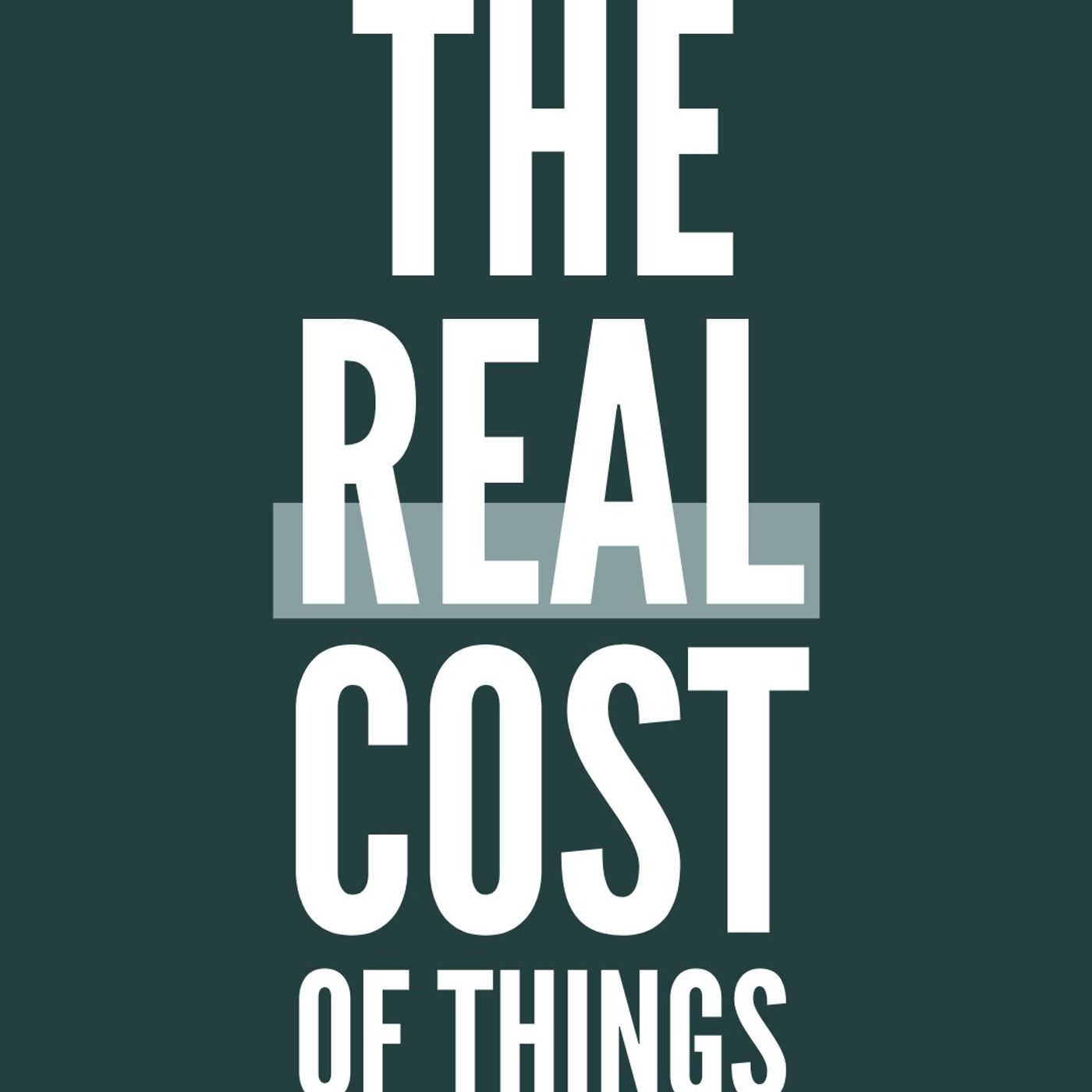 The Real Cost of Things