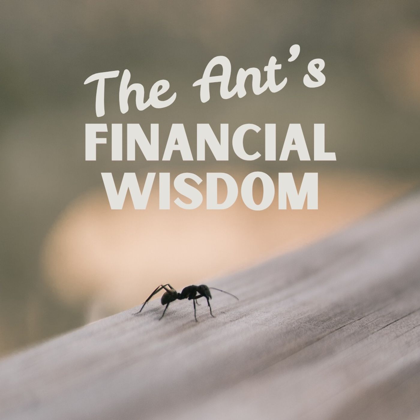The Ant’s Financial Wisdom