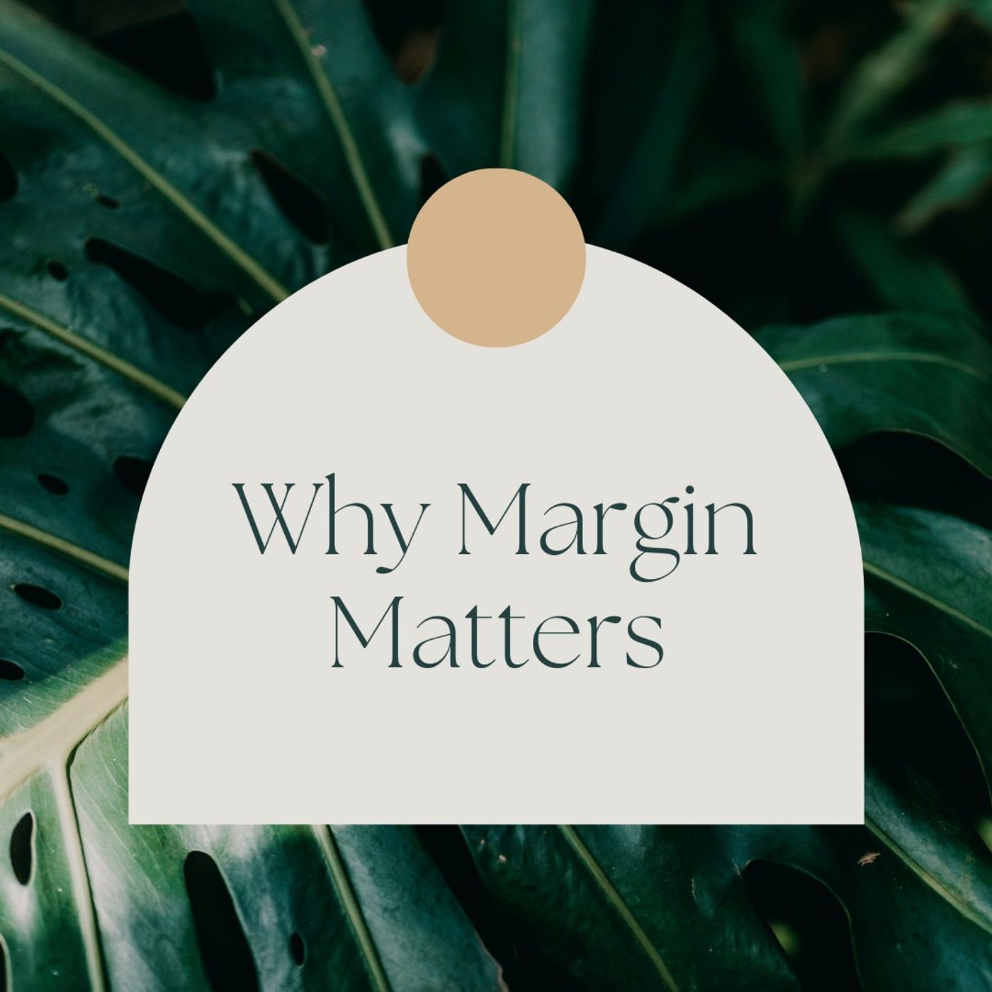 Why Margin Matters